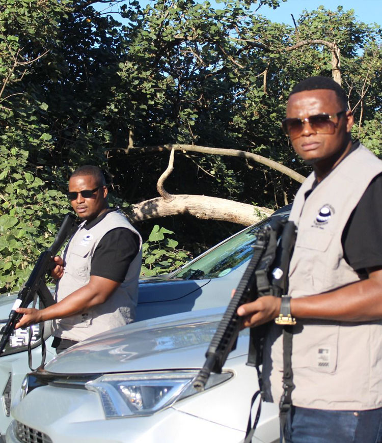 VIP Protection